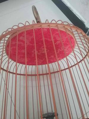 20180527_075812_副本.jpg