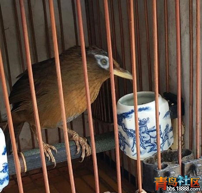 360截图20180611181149407.jpg
