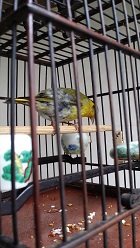20180520_163846.jpg